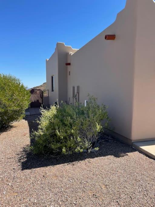 Tucson Mnt Foothills Saguaro Bliss 빌라 외부 사진
