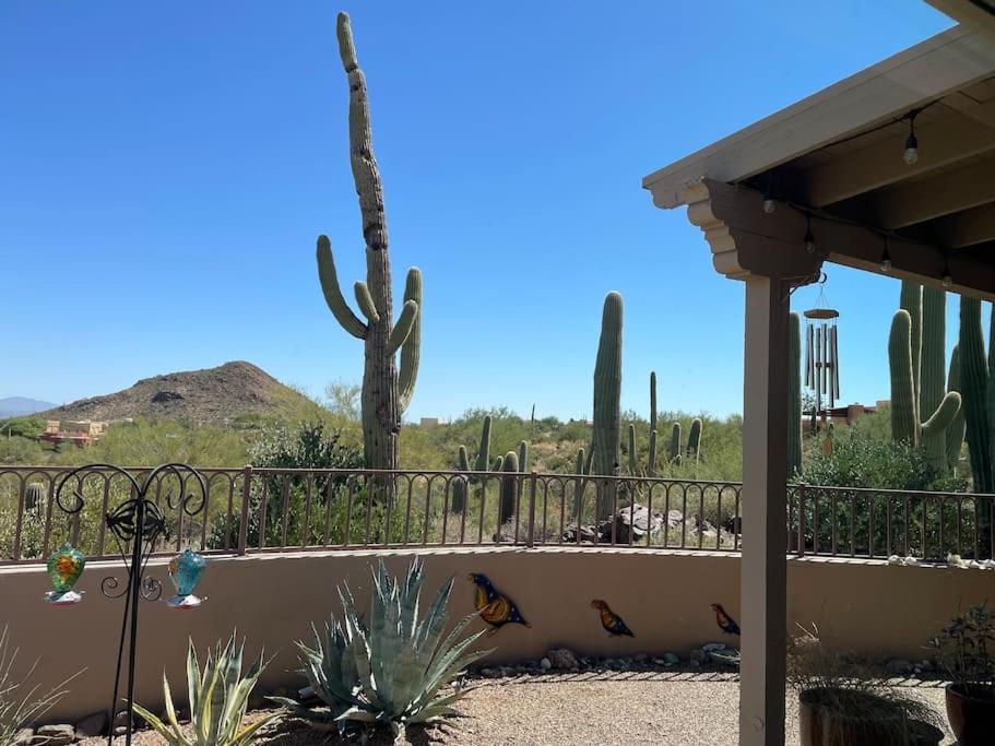 Tucson Mnt Foothills Saguaro Bliss 빌라 외부 사진