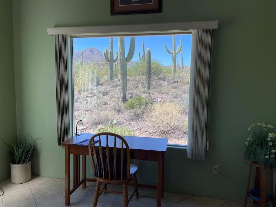Tucson Mnt Foothills Saguaro Bliss 빌라 외부 사진