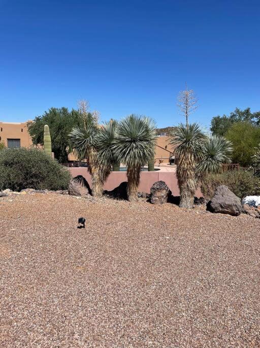 Tucson Mnt Foothills Saguaro Bliss 빌라 외부 사진