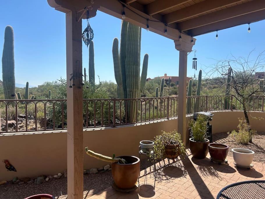 Tucson Mnt Foothills Saguaro Bliss 빌라 외부 사진